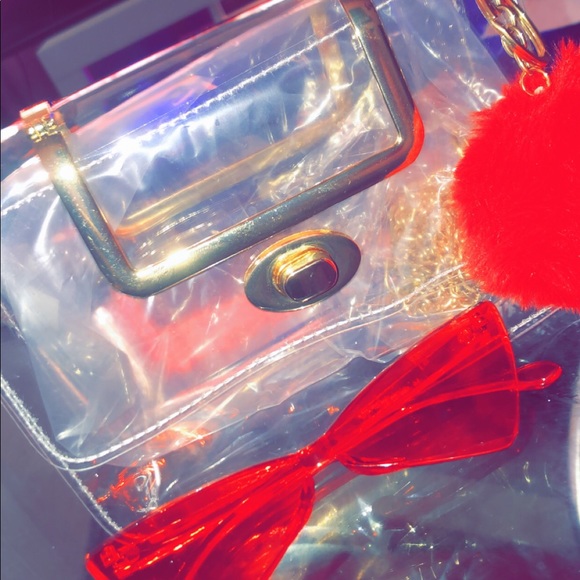 Transparent Purses - Picture 9 of 13